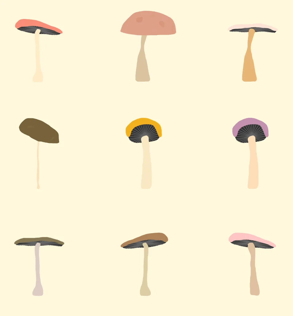 🍄